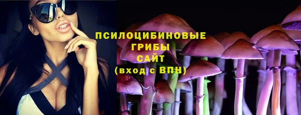 круглые Арсеньев