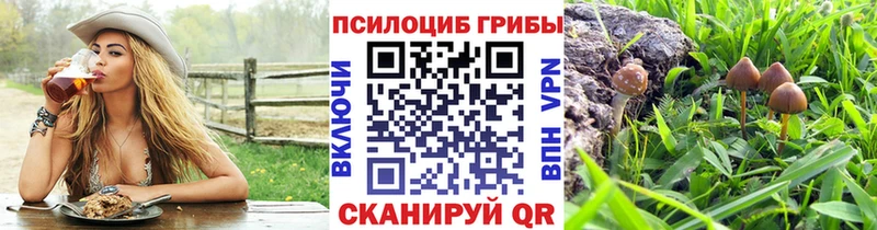 mega зеркало  Терек  Галлюциногенные грибы MAGIC MUSHROOMS  купить наркоту 